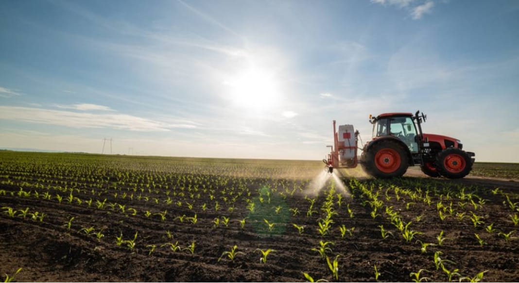 agriculteur : eleveur