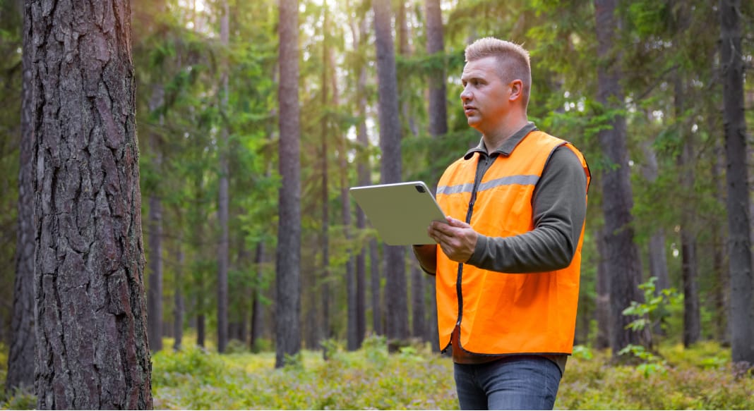 forestier biologiste (metiers de l environnement)