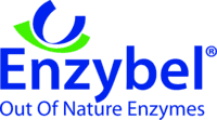 enzybel